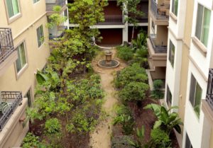 Aerial view of beautiful courtyard with tropical trees and Italian-style fountain.