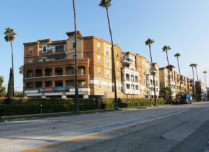 Street view of Tuscany Apartments building, lined with palm trees.
